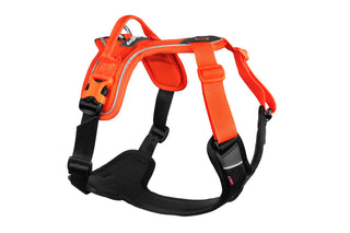 Non - stop Ramble Harness - A - Vet Shop