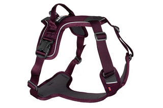 Non - stop Ramble Harness - A - Vet Shop