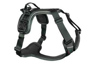 Non - stop Ramble Harness - A - Vet Shop