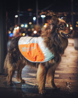 Non - stop Reflection Blanket - A - Vet Shop