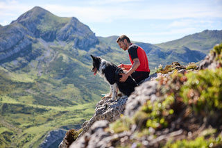 Non - stop Rock Harness - A - Vet Shop