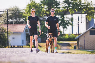 Non - stop Rock Harness - A - Vet Shop