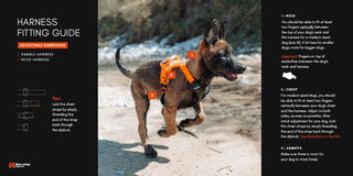 Non - stop Rock Harness - A - Vet Shop