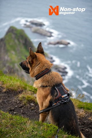 Non - stop Rock Harness - A - Vet Shop