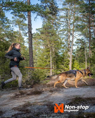 Non - stop Rock Harness - A - Vet Shop