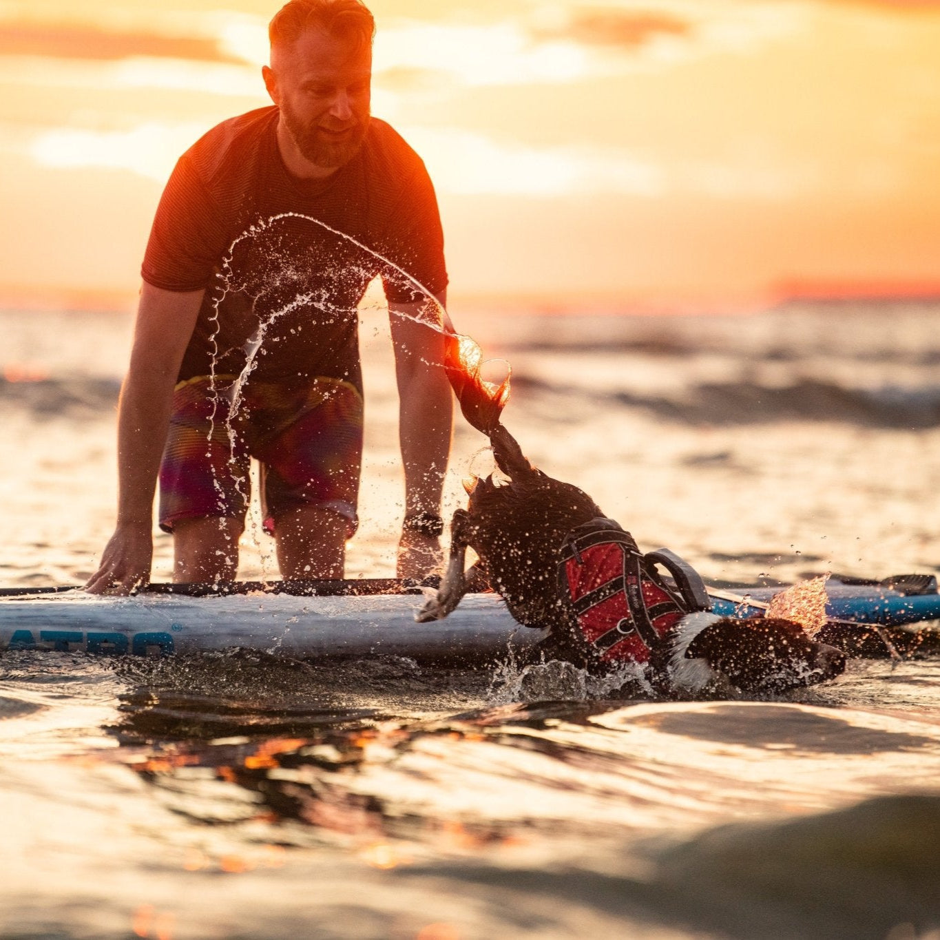 Non - stop Safe Life Jacket - A - Vet Shop