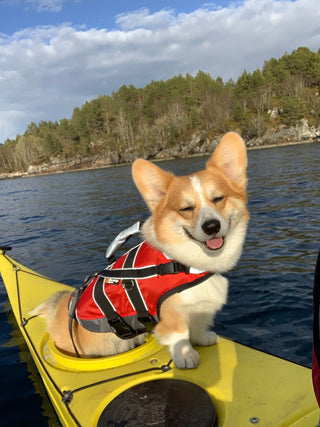 Non - stop Safe Life Jacket - A - Vet Shop