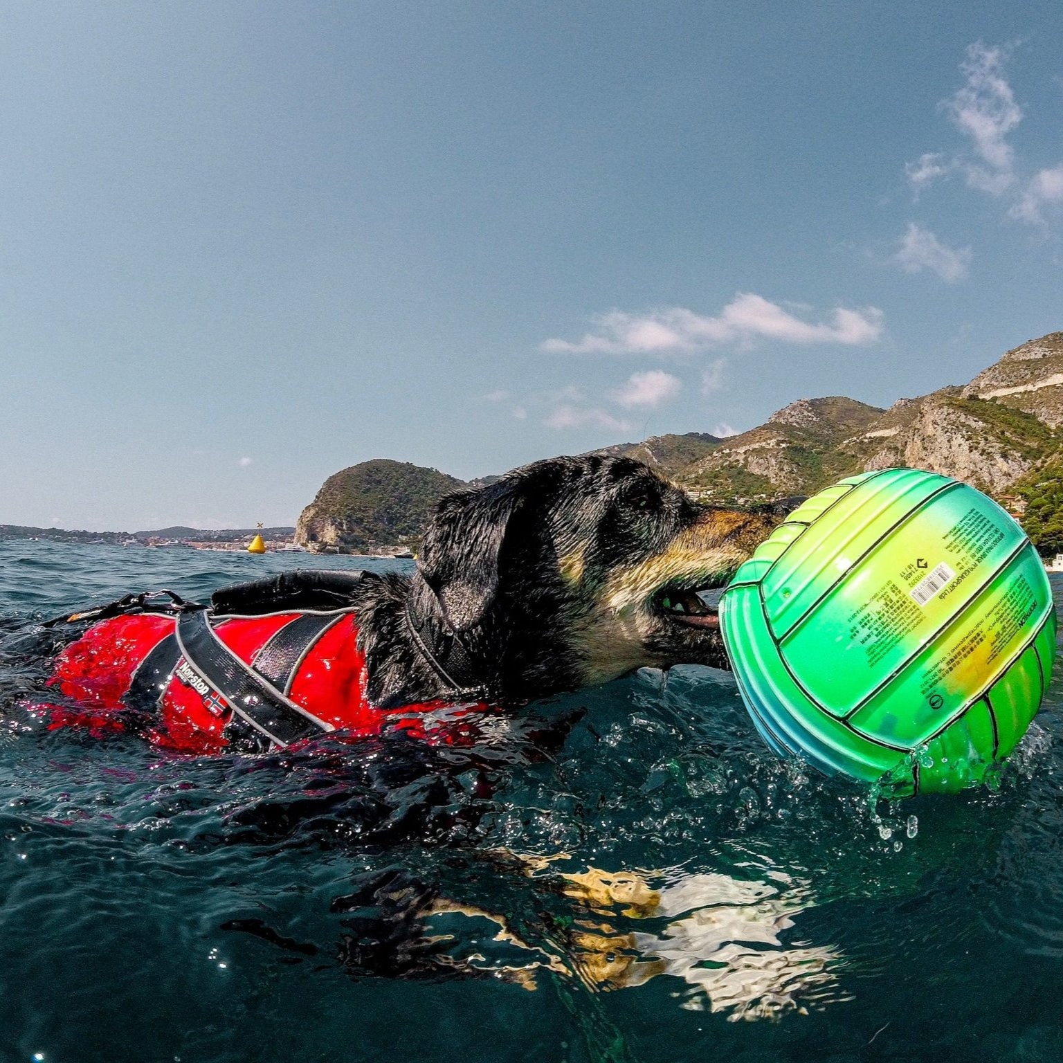 Non - stop Safe Life Jacket - A - Vet Shop