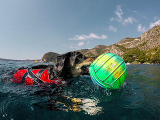 Non - stop Safe Life Jacket - A - Vet Shop