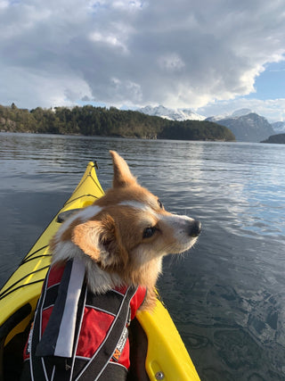 Non - stop Safe Life Jacket - A - Vet Shop