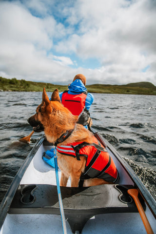 Non - stop Safe Life Jacket - A - Vet Shop