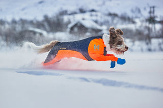 Non - stop Snow Protector - A - Vet Shop