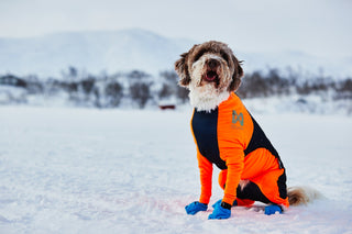 Non - stop Snow Protector - A - Vet Shop