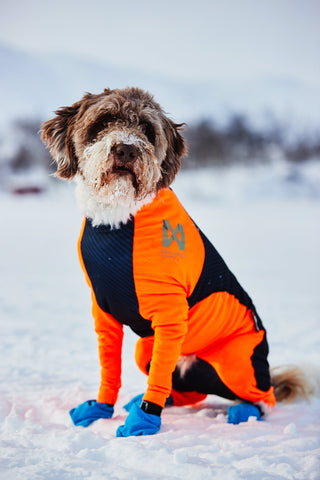 Non - stop Snow Protector - A - Vet Shop