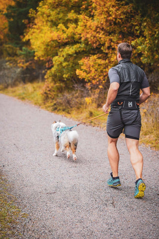 Non - stop Trekking Belt 2.0 - A - Vet Shop