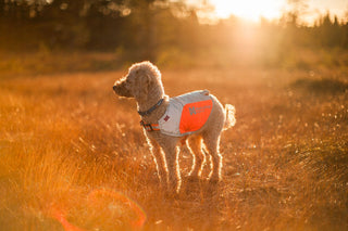 Non - stop Tumble Collar - A - Vet Shop