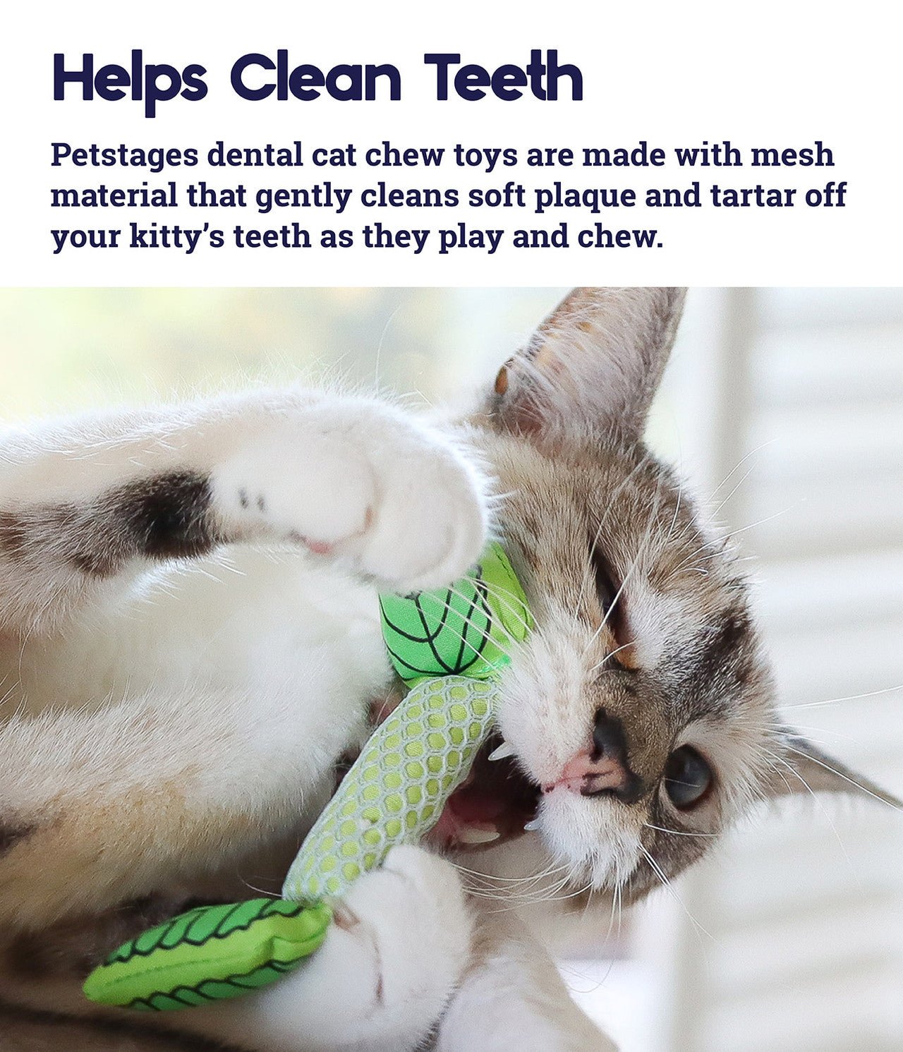 Petstages Fresh Breath Mint Stick - A - Vet Shop