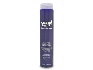 Yuup! Whitening And Brightening Shampoo